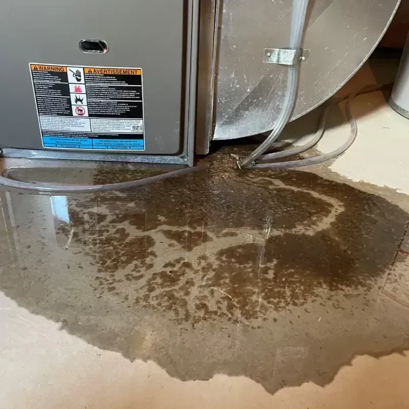 Appliance Leak Cleanup in Williamsburg, FL